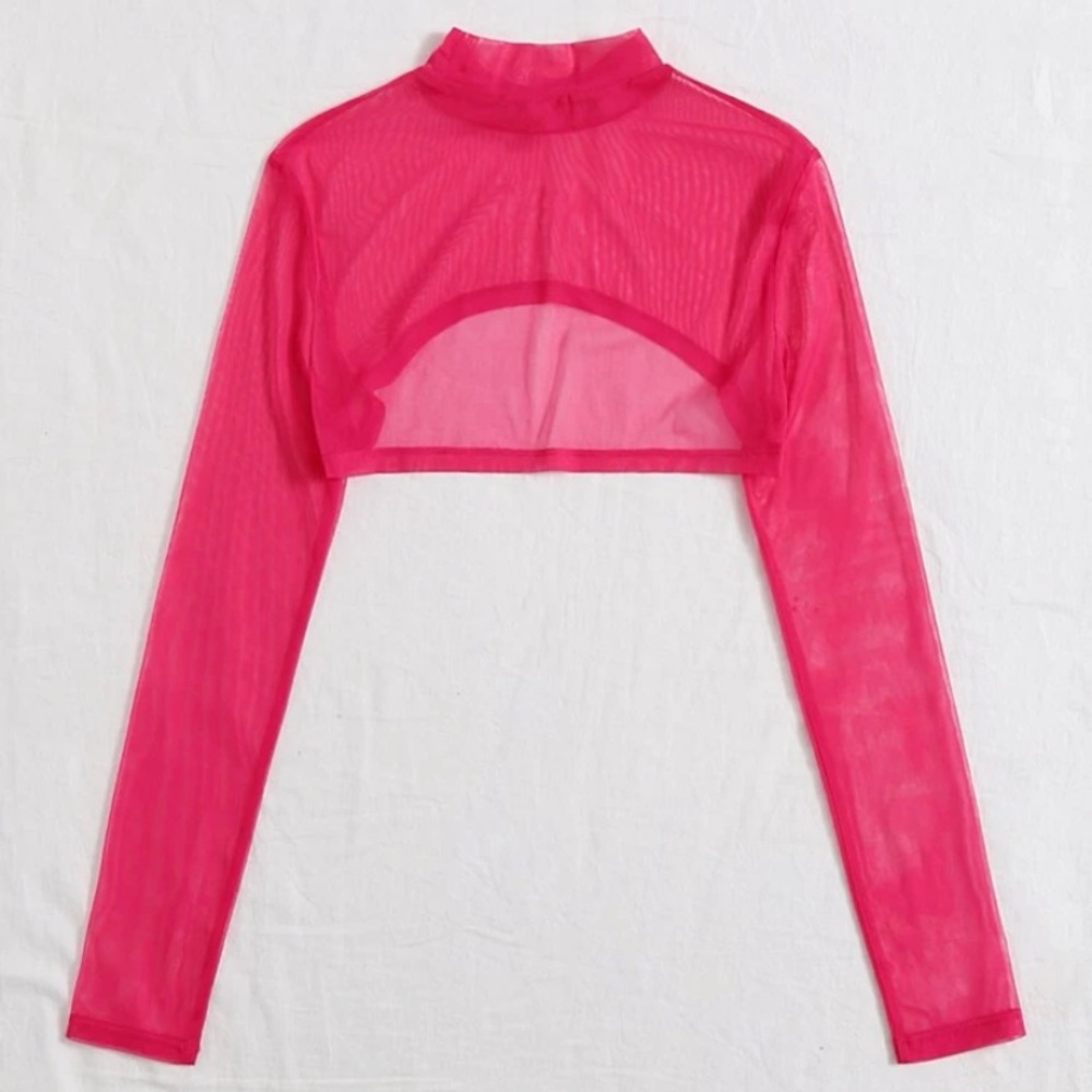 Hot Pink Mesh Crop Top